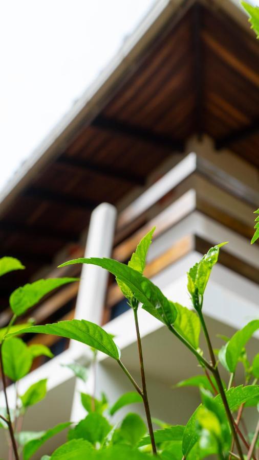 Hotel Luna Llena Tamarindo Ngoại thất bức ảnh