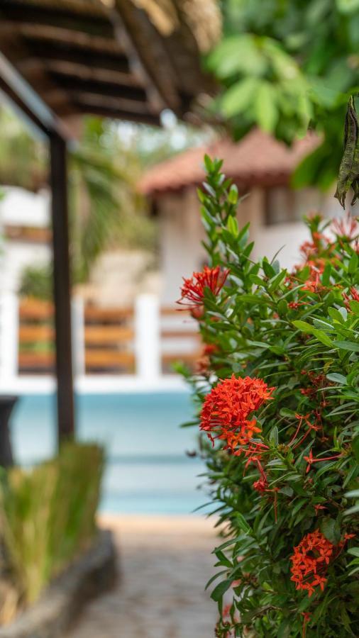 Hotel Luna Llena Tamarindo Ngoại thất bức ảnh