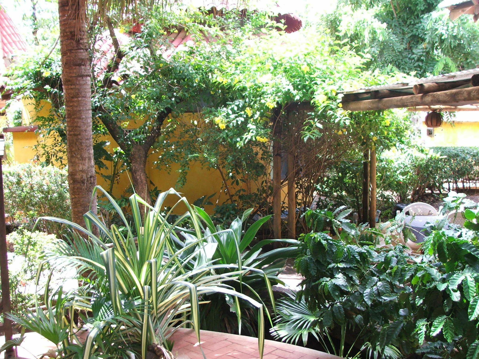 Hotel Luna Llena Tamarindo Ngoại thất bức ảnh